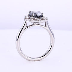 Estrellas de la Noche