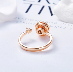 Return to the Sun Ring 